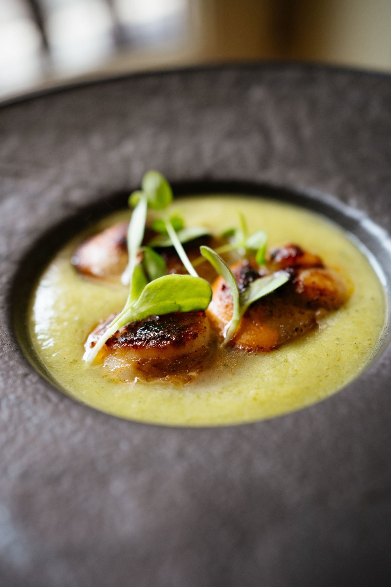 Aquila Wine Restaurant — immagine 3